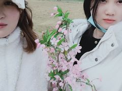 -秀丽东方