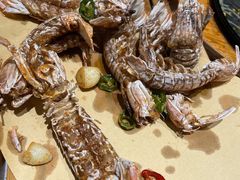 -大锅强·蒸海鲜青岛菜(吾悦广场店)