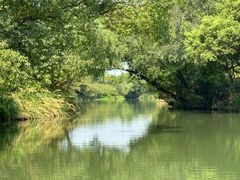 -西溪国家湿地公园