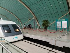 -龙阳路磁悬浮列车总站-停车场