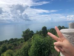 -广东惠东海龟国家级自然保护区