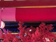 -探花·意境江南菜·唐伯虎文化体验店·松鼠桂鱼(观前店)