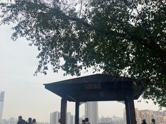 -新都巷步道