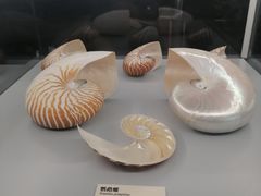 -天津古林古海岸遗迹博物馆