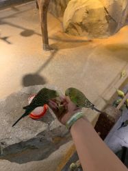 点击看大图 -酷嗒动物文化乐园(cutezoo西溪乐天城店)