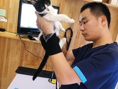 -纳吉亚猫专科动物医院博雅分院