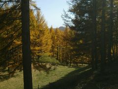 -塞罕坝国家级自然保护区