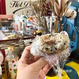 攻略丨深圳居然有这么多可爱的小饭团