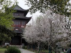 -堤角公园
