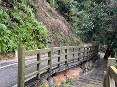 -广州市流溪河国家森林公园