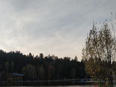 -五营红松林海景区