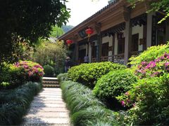 老龙井御茶园(老龙井店)-十八棵（老龙井）御茶园(老龙井店)