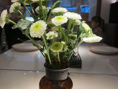 -阿妮叶李(光谷世界城店)