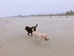 -北部湾广场