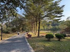 -东莞植物园