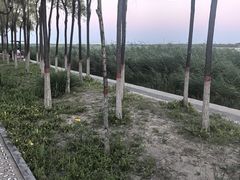-南湖湿地公园