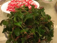 -东颖龙肥牛王(绵阳店)