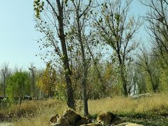 -北京野生动物园