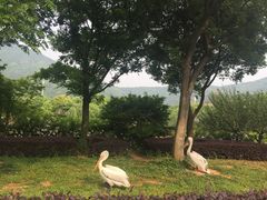 -无锡动物园·太湖欢乐园