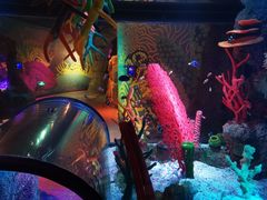 -沈阳海洋探索中心