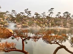 -罗红摄影艺术馆