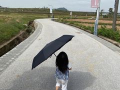 -光明小镇欢乐田园