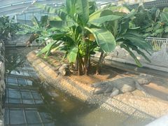 -石家庄市动物园