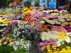 -双季花艺园艺市场(浦东店)