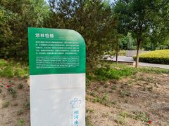 -坝河休闲公园