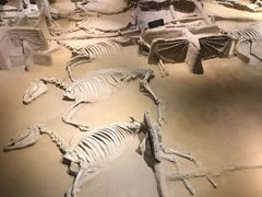 -洛阳周王城天子驾六博物馆