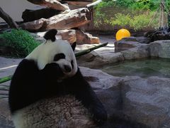 -宁波野生动物园