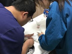 -恒幸动物医院·急重症转诊中心·神经内外科·CT核磁