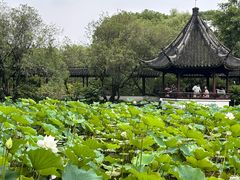 -上海醉白池公园