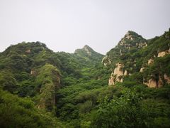 -大岭沟猕猴桃谷风景区