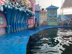 -华夏文旅海洋公园