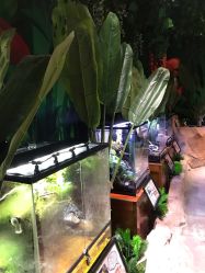 -酷嗒动物文化乐园(cutezoo西溪乐天城店)