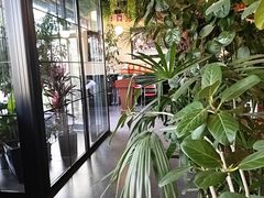 -普兰达德国餐厅·德式脆皮烤猪肘·自酿啤酒(观唐店)