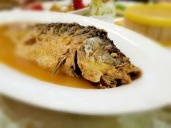 -阿庄新豫菜(航海东路店)