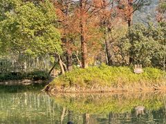 -宝岩生态观光园