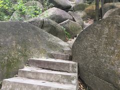 -火炉山森林公园