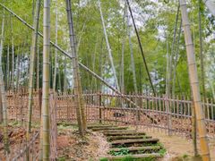 -宁波浙东大竹海景区