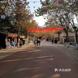 很惊艳，修了人工湖环湖公路，风景独好