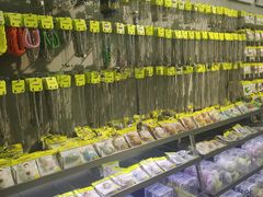 -HOWOW·D2Y(柏威年店)