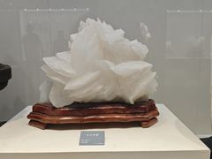-安徽省地质博物馆