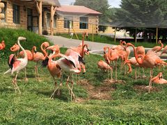 -哈尔滨北方森林动物园