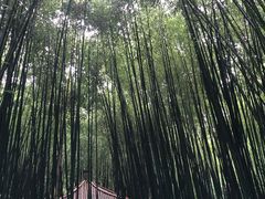 -竹泉村旅游度假区