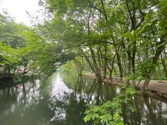 -诗莉莉·厚德堂私房菜
