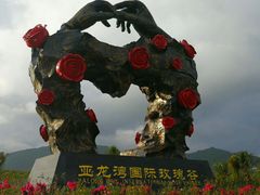 -亚龙湾国际玫瑰谷