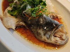 -蜀宴小调·精致家常菜(科华店)