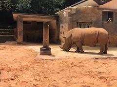 -昆明动物园